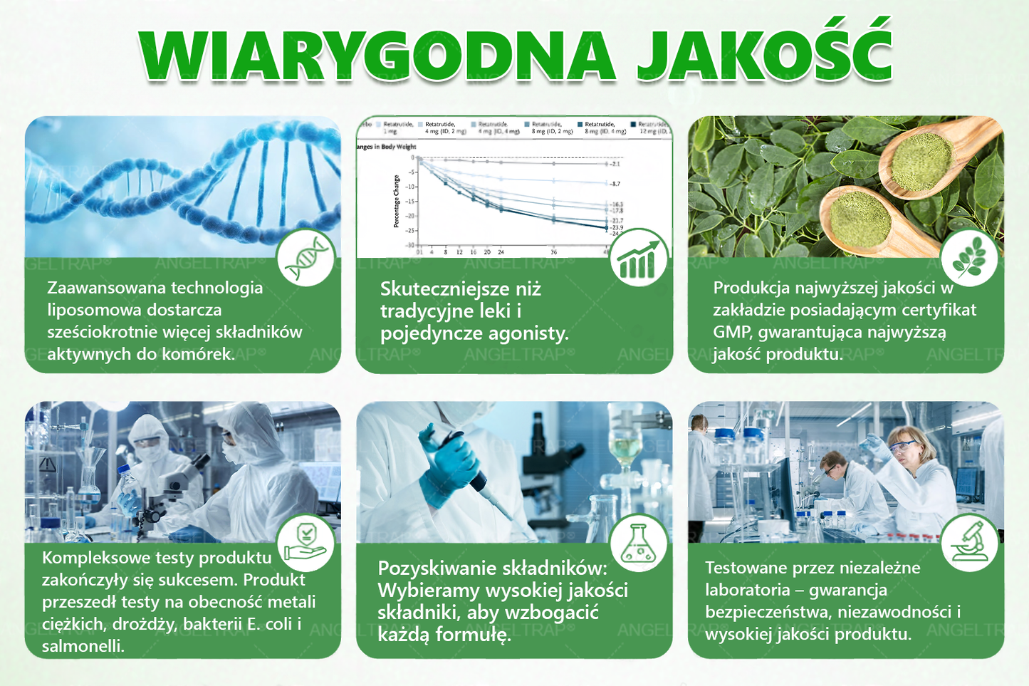 🎀ANGELTRAP® Moringa × Berberyna × AMPK 10-w-1 Wsparcie metaboliczne, plaster z nanotechnologią mikroigłową 🇵🇱(Wystarczy raz dziennie, widoczne efekty w 7 dni) ✅ Na otyłość, wiotką skórę, cukrzycę, bezdech senny, problemy ze stawami i wiele innych