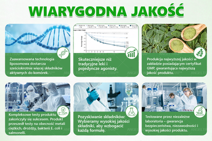 🎀ANGELTRAP® Moringa × Berberyna × AMPK 10-w-1 Wsparcie metaboliczne, plaster z nanotechnologią mikroigłową 🇵🇱(Wystarczy raz dziennie, widoczne efekty w 7 dni) ✅ Na otyłość, wiotką skórę, cukrzycę, bezdech senny, problemy ze stawami i wiele innych