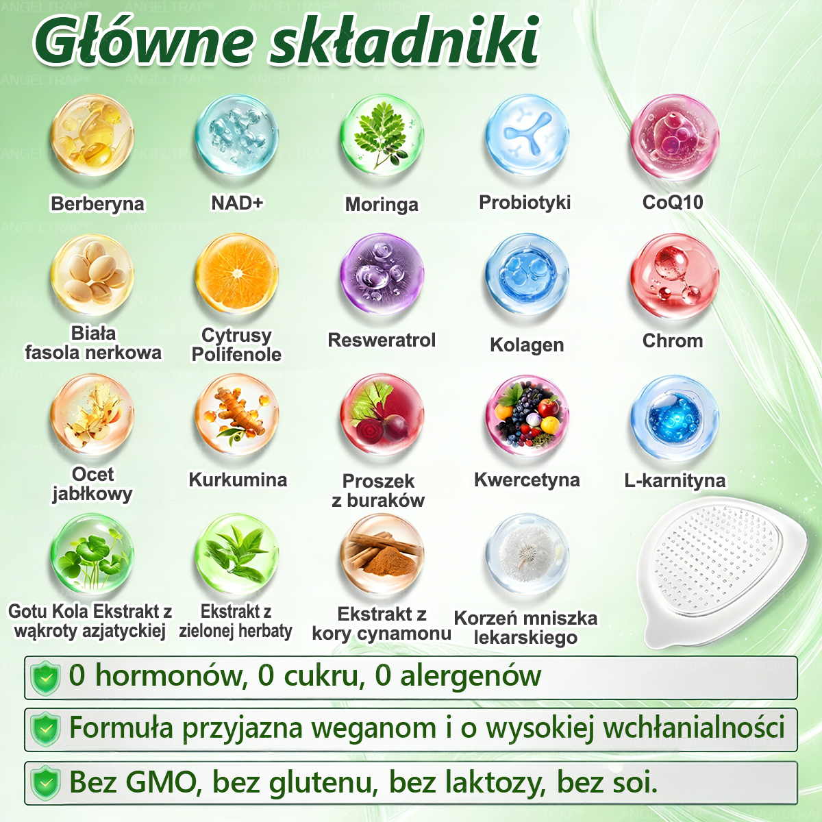 🎀ANGELTRAP® Moringa × Berberyna × AMPK 10-w-1 Wsparcie metaboliczne, plaster z nanotechnologią mikroigłową 🇵🇱(Wystarczy raz dziennie, widoczne efekty w 7 dni) ✅ Na otyłość, wiotką skórę, cukrzycę, bezdech senny, problemy ze stawami i wiele innych